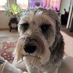 Janice Plummer - @janice.dick.7 - Instagram