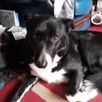Janice Poole - @janicepoole132024 - Instagram
