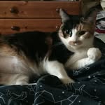 Janice Poole - @janicepoole77 - Instagram