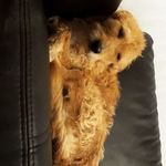 Janice.poole - @janice.poole3 - Instagram
