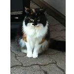 Janice Pratt - @janice.pratt.317 - Instagram