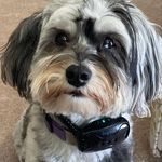 Janice Quirk - @quigleyquirk - Instagram
