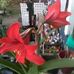 Janice Ragan - Facebook
