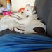 Janice Rainey - Facebook