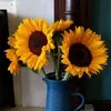janicerainey205 - @janicerainey205 - TikTok