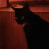Janice Ramey - @janice.ramey - TikTok