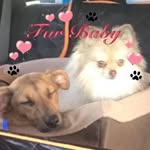 Janice Ramey - @luey769 - Instagram