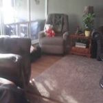 Janice Ramsden - @janiceramsden - Instagram
