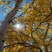 Janice Rea - Facebook