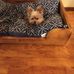 Janice Rector - Facebook