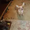 janicerector - @janicerector - TikTok
