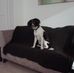 Janice Renner - Facebook