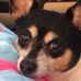 Janice Renner - Facebook