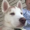 jan - @janrettig - TikTok