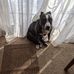 Janice Rettig - Facebook