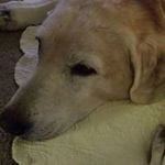 Janice Culpepper - @janice.ritchie.900 - Instagram