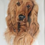 Janice Ritchie - @janice1678 - Instagram