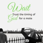 Janice Rock - @waitingtomate - Instagram
