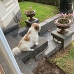 Janice Royal - @janroyal1948 - Instagram