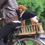 Afraima Janice Ruby - @houseof_janice - Instagram