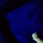 janiceruby - @janiceruby92 - Instagram