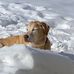 Janice Ruppert - Facebook