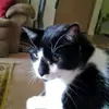 janice schiffman - @janice.schiffman - TikTok