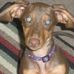 Janice Schoonover - Facebook
