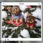 Janice Crowe Seals - @janiceseals - Instagram