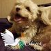 Janice Setzer - Facebook