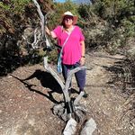 Janice Shank - @janiceshank - Instagram