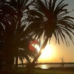 Janice sharp - @maumeeassembly30 - Instagram