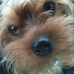 Janice Shipp Gomez - Facebook