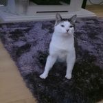 Janice Sinclair - @sinclair2000 - Instagram