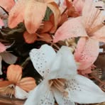 Janice Slaughter - Facebook