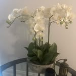 Janice Rosemary Snell - @taketheshot49 - Instagram