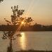 Janice Snider - Facebook