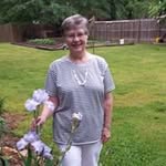 Janice Snider - @just.grandma - Instagram