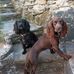 Jan Sorrell - Facebook