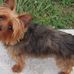 Janice Sorrell Greer - Facebook