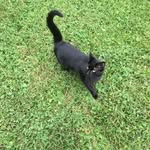 Janice Spangler - @janice.spangler.35 - Instagram