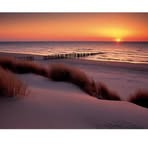 Janice Spangler - Facebook