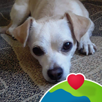 Janice Spangler - Facebook