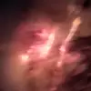 Jani Spisak - @jani.spisak - TikTok