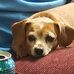 Janice Spooner - Facebook