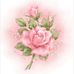 Janice Sprague - Facebook