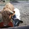 Janice Sprague - @janicesprague2863 - TikTok