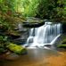 Janice Spruill - Facebook