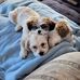 Janice Spry - Facebook