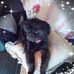 Janice Martin Spurlock - Facebook